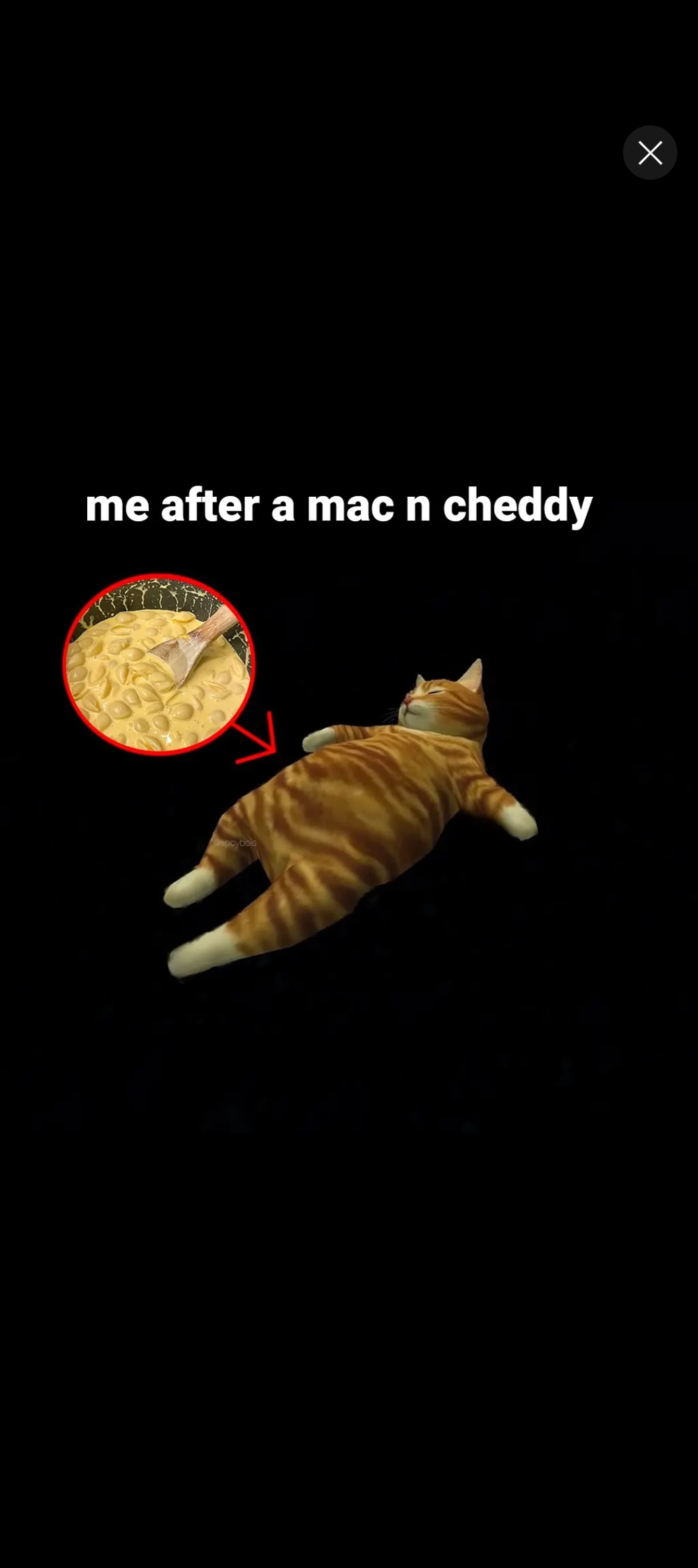 Feed the Artist