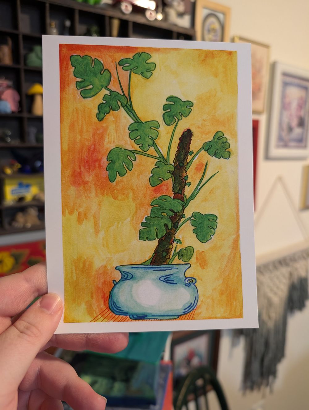 Monstera Pot